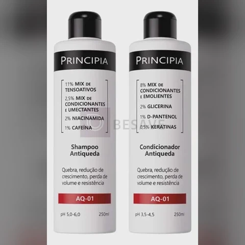 Principia Kit Shampoo E Condicionador Antiqueda Aq-01